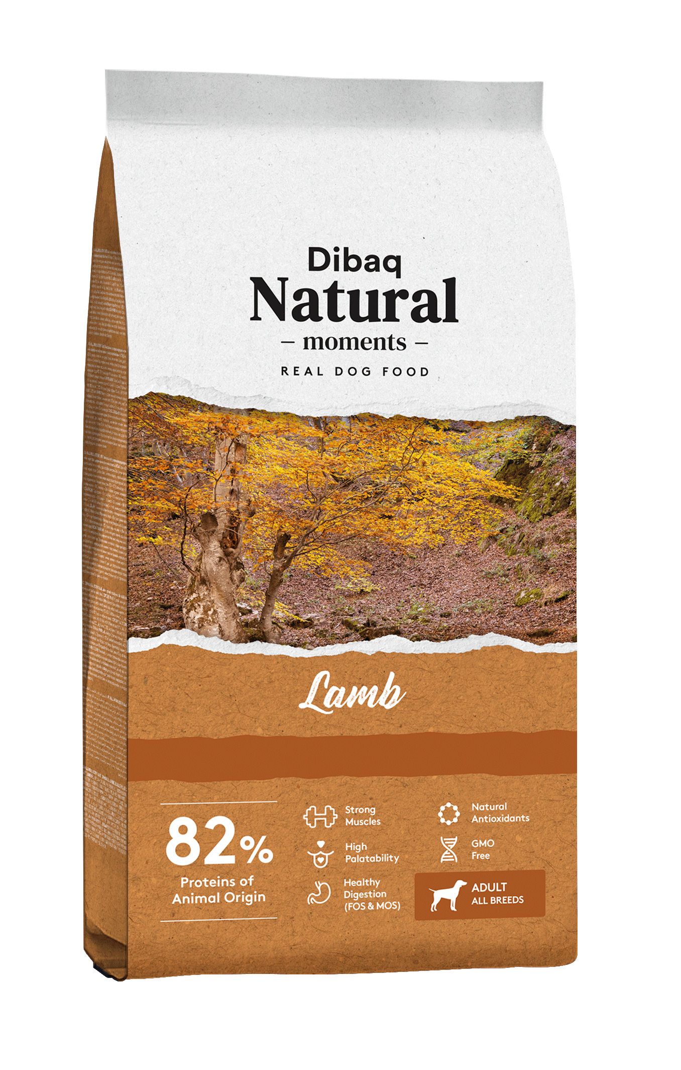 2023 08 10 13 51 44Sin20titulo